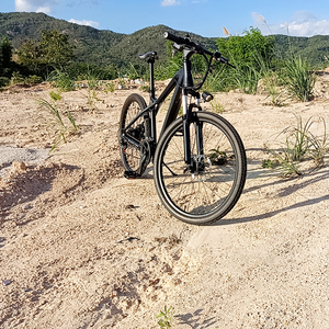 <span class=keywords><strong>Freego</strong></span> China Venta caliente 48V Bicicleta eléctrica de neumático grueso con batería extraíble Bicicleta de montaña eléctrica - Product Image 2