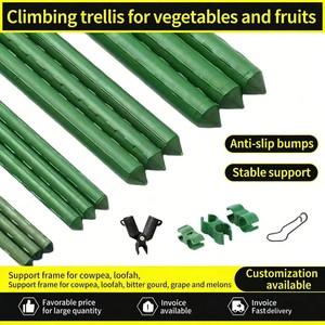 PE Coated <strong>Plant</strong> Trellis Support Stakes Garden Poles Rust Resistant Climbing Poles for Cucumbers <strong>Loofah</strong> Squash - Product Image 3