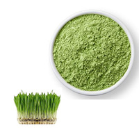 Approvisionnement en usine OEM marque privée poudre d'herbe d'orge soluble dans l'eau chlorophylle nourriture sauvage bouteille tambour récipient en plastique