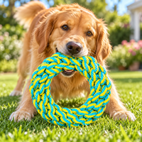 Ensemble de jouets à mâcher pour chien en corde, jouets en coton tressé colorés pour tirer, apporter, l'entraînement et les soins dentaires