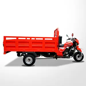 Carico pesante GUANGZHOU FENGHAO camion triciclo 200CC/250CC/300CC tre ruote triciclo carico moto CCC tipo di origine aperto