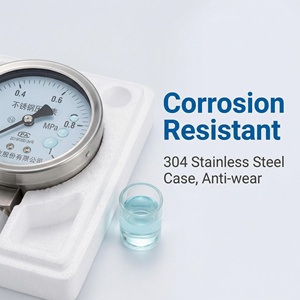 OEM ODM 0-1MPa Paslanmaz Çelik Basınç Göstergesi Hidrolik Sistemler için Yüksek Hassasiyetli Barometre 100mm Gaz ve Sıvı Kullanımı - Product Image 2