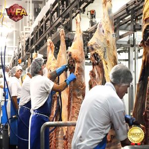 Équipement d'abattage <span class=keywords><strong>de</strong></span> bétail <span class=keywords><strong>halal</strong></span>, machines d'abattoir <span class=keywords><strong>de</strong></span> bovins, machine <span class=keywords><strong>de</strong></span> boucherie <span class=keywords><strong>de</strong></span> bovins, usine <span class=keywords><strong>de</strong></span> transformation <span class=keywords><strong>de</strong></span> viande <span class=keywords><strong>de</strong></span> bœuf certifiée ISO 9001 - Product Image 3