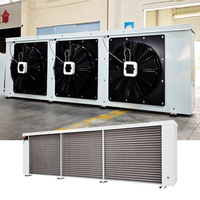 Refroidisseur d'air évaporatif haute performance AUKS 22,2 kW |   Réfrigération industrielle à basse température avec deux ventilateurs de 630 mm, fourniture d'usine