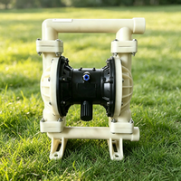 Pompe submersible QSP-1515, 15m³/h, hauteur de refoulement 15m, 1,5kW, pompe à eau électrique 220V 50Hz, pompe de drainage pour jardin et sous-sol