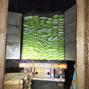 가족용 프리미엄 품질과 부드러운 detsivo 세척 분말 밝은 세제 분말 - Product Image 6