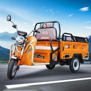 50 Km/H <span class=keywords><strong>Tandem</strong></span> Trike Vélo <span class=keywords><strong>électrique</strong></span> <span class=keywords><strong>Tricycle</strong></span> cargo fermé pour adultes avec corps ouvert 60v Tension - Product Image 3