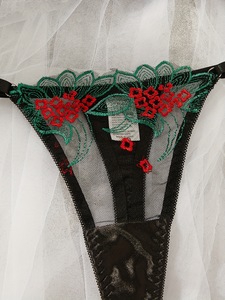 Black Floral Embroidery Lingerie <b>Set</b> Sheer Mesh Underwire Bra and Thong 2 Piece <b>Set</b> <b>Sexy</b> Lace Womens Intimates Bra <b>Set</b> - Product Image 5