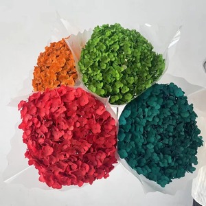 Preserved Absorbed Anna <strong>Hydrangea</strong> Big Leaf <strong>Hydrangea</strong> for Weeding Decoration