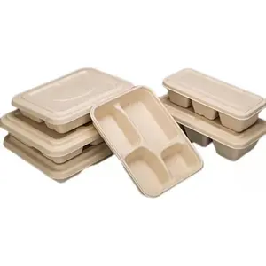 biodegradable sugarcane freezer food storage boxes chinese bagasse take out disposable food packaging lunch box