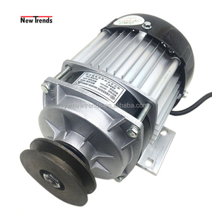 Motore Elettrico BM1418ZXF 750W 48V 60V DC Brushless con Puleggia <span class=keywords><strong>per</strong></span> Scooter, Biciclette Elettriche e Attrezzature Agricole - Product Image 1