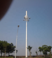Mât d'antenne décoratif de station de base de style paysager pour télécommunications