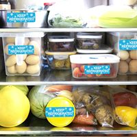 Etiquetas de Cadena de Frío Resistentes al Aceite, Ecológicas y Duraderas, Etiquetas de Código de Barras, Etiquetas para Alimentos Congelados, Etiquetas para Almacenamiento de Alimentos, Impresión Térmica Directa APZ