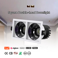 Projecteur LED 2*10W de Haute Qualité, Personnalisable, Anti-Éblouissement, en Aluminium, pour Mur et Plafond, Encastré, Style Moderne, Garantie 5 Ans