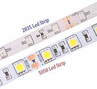 Double Rangée de Led 15mm Largeur SMD 5050 3000K 4000K Éclairage Décoration 24V Min Cut 50mm Ra 90 Bande Lumineuse
