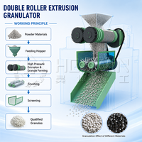 Granulateur d'extrusion à double rouleau entièrement automatique à haut rendement pour la fabrication d'engrais NPK au chlorure de potassium