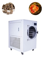 Machine de lyophilisation continue pour aliments Machine de séchage des aliments Machine portable lyophilisateur sous vide pour aliments