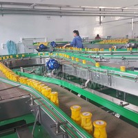 Turnkey Project Blik Oranje Verwerking Lijn Fruit Inblikken Productielijn