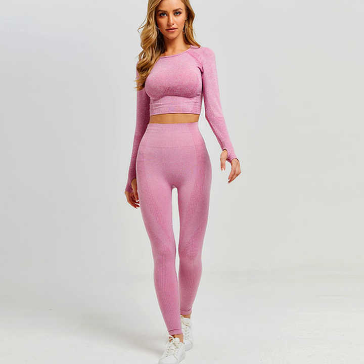 Women's Gym Set Seamless Long Sleeve Crop Top Leggings