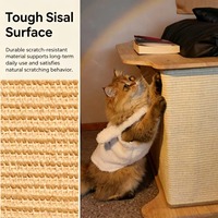 Table d'appoint griffoir pour chat en bois massif avec griffoir en sisal, protecteur de meubles, pour usage humain et animal, articles pour animaux de compagnie