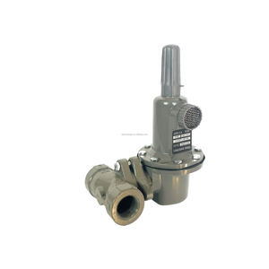 Regolatore di Pressione per Bombole GPL, Regolatore di Gas Industriale - Product Image 2