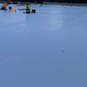 <span class=keywords><strong>Membrane</strong></span> Tpo élastique étanche en PVC, géomembrane Tpo renforcée pour tunnel, toit et <span class=keywords><strong>mur</strong></span> <span class=keywords><strong>Membrane</strong></span> d'étanchéité 3 plis Tpo - Product Image 5