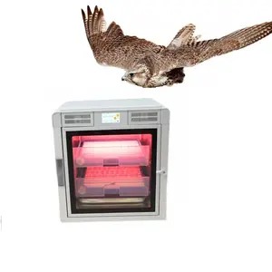 Chocadeiras-Automat Couveuse Oeuf Automatique Incubateur Volaille Automatique Oeuf De Poule Incubateur Ferme Couveuse Oiseaux Incubateurs
