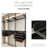 Système de penderie colonne Galaxy avec éclairage, étagère de rangement, profilé en aluminium, cadre de dressing ouvert sur mesure