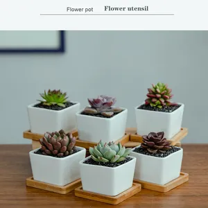 Vente directe d'usine Napin, <span class=keywords><strong>pot</strong></span> de fleurs de bureau moderne en porcelaine blanche émaillée respirante de marque JADE, capacité de 1 à 2 L, transfrontalier - Product Image 2