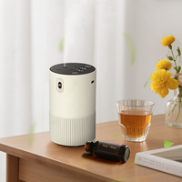 Portable Électrique Rechargeable Sans Eau Voiture Maison Hôtel Ménage Aromathérapie Diffuseur 15mL 2-Fluide Nano Cold Spray Essentiel