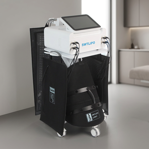 Almohadillas de tratamiento de varios tamaños, sistema de luz para disolver grasa, relajar los músculos, terapia facial y corporal completa, máquina de belleza - Product Image 1