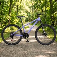 Nouveau Vélo de Route Professionnel Complet 24 Vitesses avec Freins à Disque en Acier, Fabrication Chinoise 2026