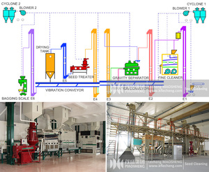 5X semillas oleaginosas sésamo Lino Semilla de cáñamo espelta grano de <span class=keywords><strong>trigo</strong></span> máquina de limpieza fina para granos maquinaria de limpieza de semillas - Product Image 6