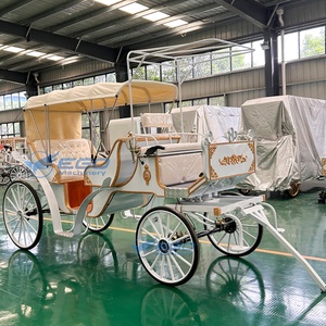 Carruaje Clásico de Princesa Real con Forma de Calabaza/Carruaje de Boda Cenicienta/Coche Eléctrico Turístico en Venta - Product Image 5