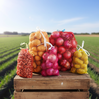 Sac en filet mono en PE pour l'emballage des oignons et des pommes de terre
