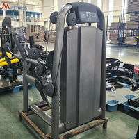 Équipement de fitness commercial pour salle de sport, machine à curls pour les biceps efficace pour l'entraînement de force des bras