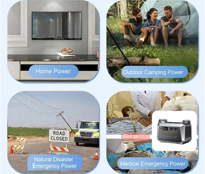 โรงงานผลิตเครื่องกำเนิดไฟฟ้าพกพา 3000W รุ่น Heavy Duty ลดราคาสำหรับการสั่งซื้อจำนวนมาก - Product Image 2