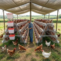 Nouvelle cage à poulets en acier galvanisé durable en forme de A, 4 niveaux, système automatique pour ferme avicole commerciale, 1000 oiseaux, 7-10 ans