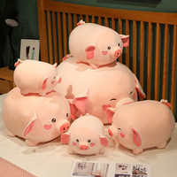 Peluche cochon mignon et dodu, oreiller cochon pour filles, cadeau d'anniversaire, emballage en sac en filet, garantie de 3 mois