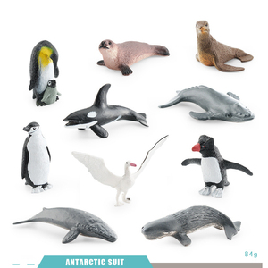 Simulazione di esportazione pinguino, foca, balena, albatro polare animali modello decorazione giocattoli - Product Image 6