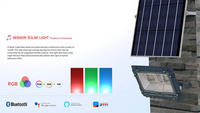 15W 25W 50W Lumières solaires extérieures LED Projecteur de rue de jardin Corps en aluminium IP68 évalué pour capteur de photo de musique