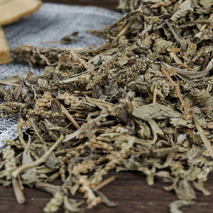 Vente en gros de Che qian cao Nouveau Plantaginis Herba en vrac Herbe de plantain asiatique séchée verte à vendre - Product Image 3