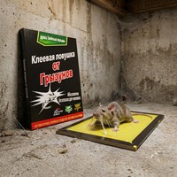 Station d'appât anti-sabotage pour souris, sécurisée pour enfants et animaux domestiques, boîte piège à rats verrouillable pour une lutte sûre contre les nuisibles à la maison
