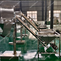 Machine de remplissage de tarière de poudre de coquille d'oursin d'huître d'os de poisson de conque de prix bas à grande vitesse