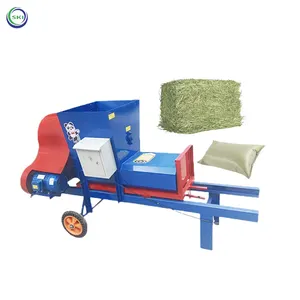 Mini-Hay Pine Reis Stroh-Quadrat-Balermaschine 50kg Mais-Silagebeutel Vakuumverpackungsmaschine Silage-Balermaschine in Pakistan