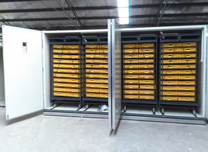 Nhà Sản Xuất Lồng Ấp Trứng Lớn 10000 Trứng Setter & Hatcher Kết Hợp Máy Ấp Trứng - Product Image 3