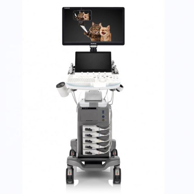 4D/5D Ultrasound Machine Veterinary/17Mhz High Frequency Ultrasound SonoScape Ultrasound Imaging Diagnosis Equipment