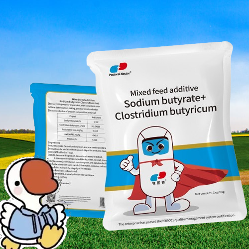 Best Sell Poultry Feed Grade Enzymes