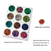 Glitter Sequin Kuku 12 Warna Chameleon Cross-Border Super Flash Laser Aurora PET Ultra Tipis Set DIY