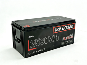 Z-ONE 12V Solid State 200Ah <strong>Deep</strong> <strong>Cycle</strong> <strong>Battery</strong> Pack <strong>for</strong> <strong>Power</strong> Tools with 4000 <strong>Cycles</strong> - Product Image 1